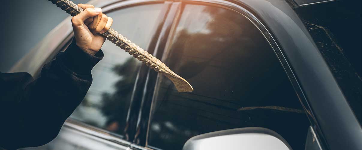 Theft Protection